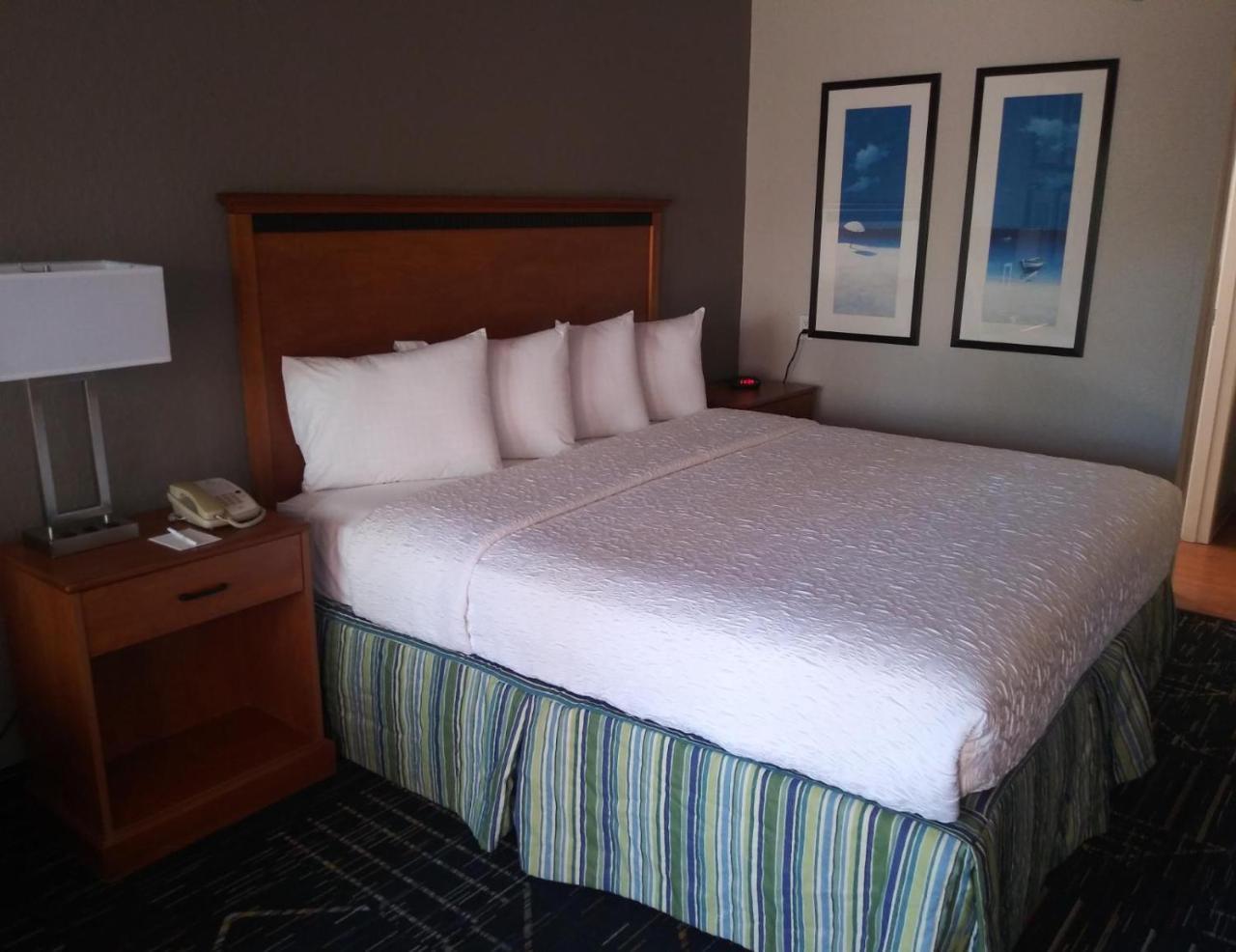 Surestay Plus Hotel By Best Western Clearwater Central Exteriér fotografie